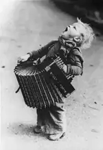 squeezebox.webp