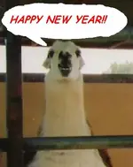 _Happy New Year.webp