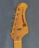 stingray headstock.webp