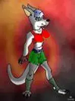 kanga chick.webp