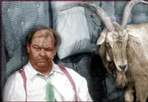 otisygoat.webp