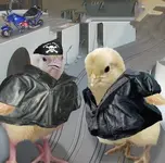 biker-chicks.webp