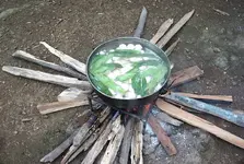 turtle_eggs-5.webp