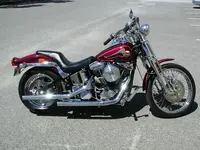 gorty bike.webp