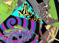 Frogs2.webp