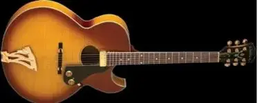 Washburn j4.webp