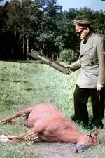 nuemannhorse.webp