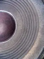 liltearcone.webp