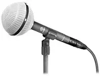 Mic 1.webp