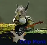 chip_viking.webp
