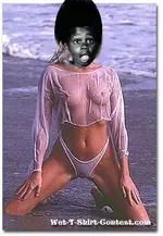 pro_model.webp