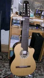 10stringwollo.webp
