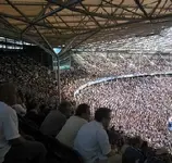 crowd.webp
