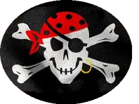 pirate.webp
