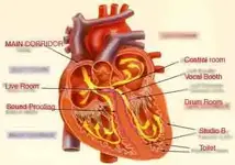 heart copy11.webp