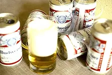 beer.webp