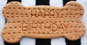 Happy_Birthday_Bone1.webp