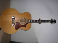 guitar 1.webp