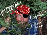 captr00p00.webp