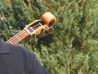 scrollbass2_1_2_1.webp