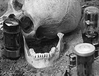 skullb.webp