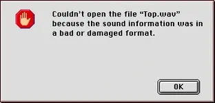 picture%202.webp