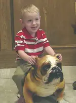 mike-bulldog3.webp