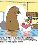 birthdaywish.webp