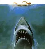 shark.webp