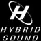 hybrid.webp
