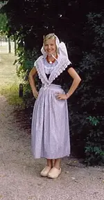 zeeuws.webp