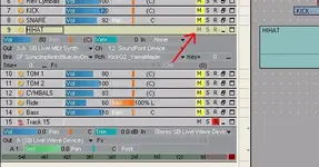 mute all.webp