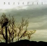 blackfallcover.webp