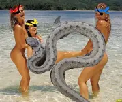 pirateboobs2.webp