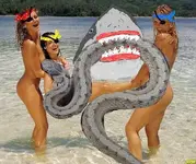 pirateboobs2.webp
