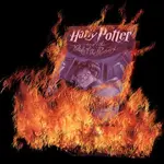 burning book.webp