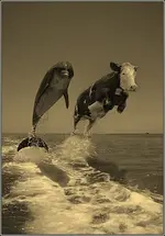 you can do it.webp