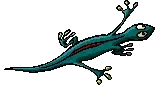 lizard.webp