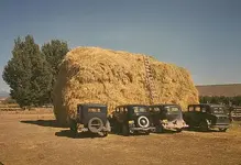 Hay.webp