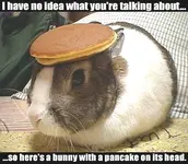 Bunny.webp