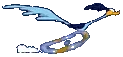 roadrunner.webp