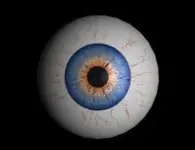 eyeball.webp