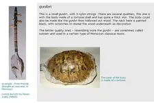 Gunibri.webp