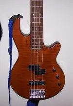 Godin.webp
