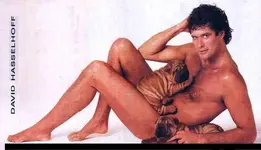 david-hasselhoff-img_2.webp