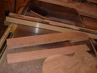 Im000315.webp