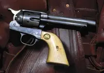 gun for djl.webp