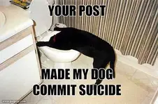 suicidedog.webp
