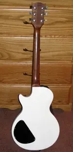 Paul back plate.webp