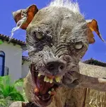 rechead.webp